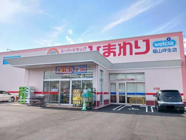 ドラックストア　ひまわり福山坪生店（ドラッグストア）まで500m