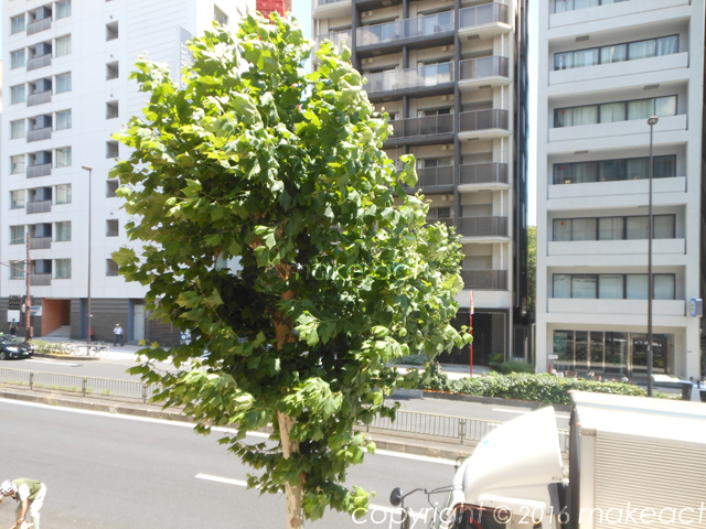 眺望　■室内参考写真