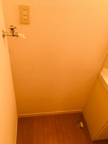 洗面設備　洗濯機置場室内