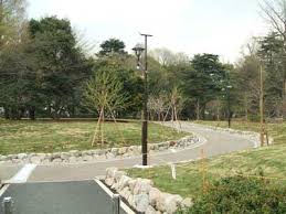 公園　江古田の森公園（公園）まで417m