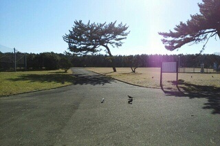 その他　湘南海岸公園まで650m
