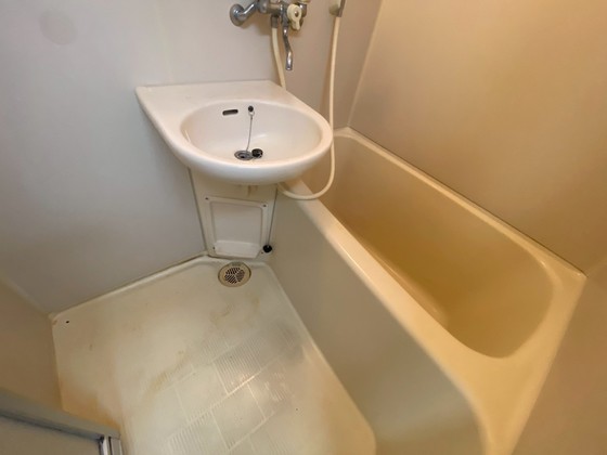 バス・シャワールーム　※別部屋の写真です