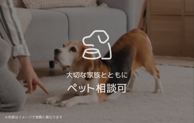 その他　同一商品