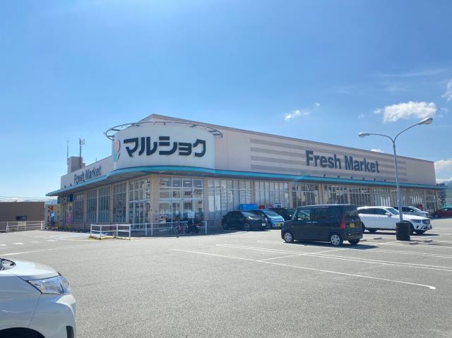 スーパー　★マルショク今宿店（スーパー）まで1030m