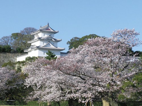 その他　明石公園 正門入口（その他）まで2730m