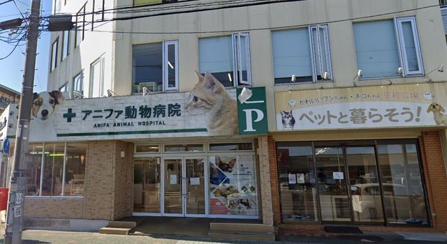 病院　アニファ動物病院（病院）まで563m