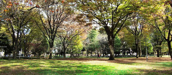 公園　新宿中央公園（公園）まで926m