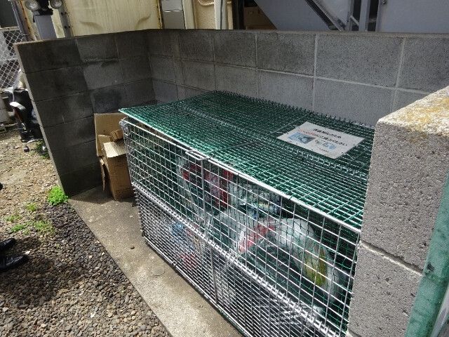 その他共有部分　他部屋参照
