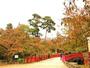 公園　弘前公園（公園）まで1057m