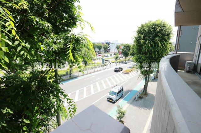 眺望　同タイプ別室