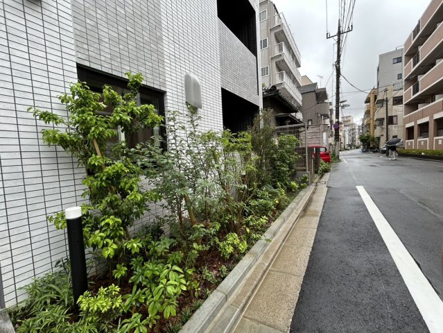 庭