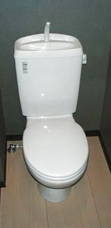 トイレ　トイレ