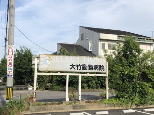 病院　大竹動物病院（病院）まで151m