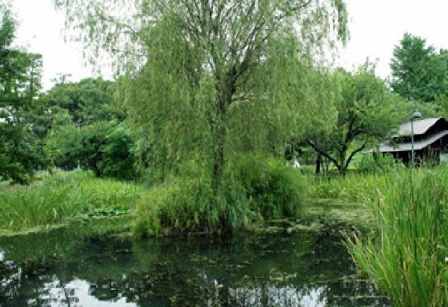 公園　新川丸池公園（公園）まで170m