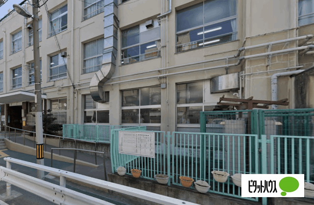 小学校　大阪市立南市岡小学校（小学校）まで530m