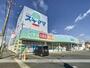 ドラックストア　ドラッグスギヤマ安城店（ドラッグストア）まで863m