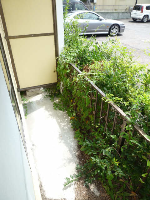 庭