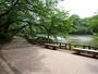 公園　井の頭公園（公園）まで1200m