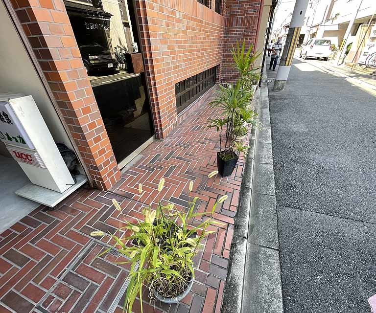 庭