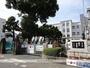 小学校　高知市立第六小学校（小学校）まで695m