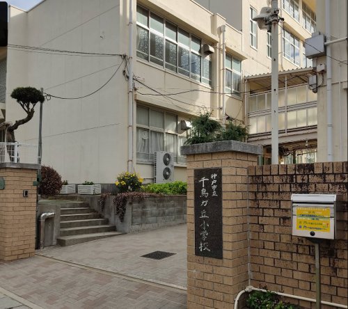 小学校　神戸市立千鳥が丘小学校（小学校）まで703m