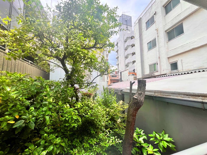 眺望