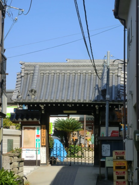 幼稚園・保育園　ひかり保育園（幼稚園・保育園）まで743m