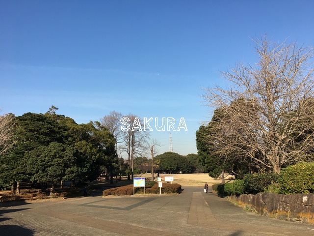 公園　岸根公園（公園）まで763m