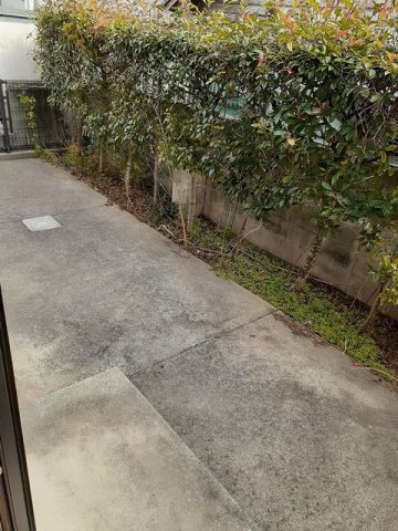 庭　お庭です