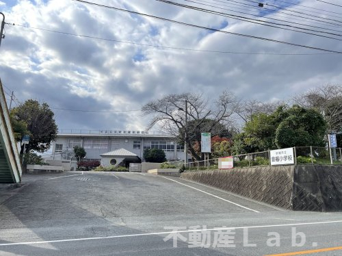小学校　豊福小学校（小学校）まで1038m