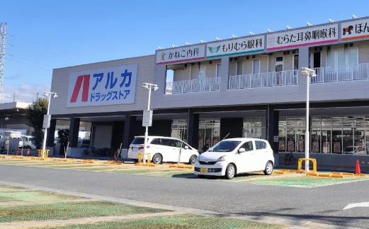 ドラックストア　アルカドラッグ 尼崎猪名寺店（ドラッグストア）まで492m