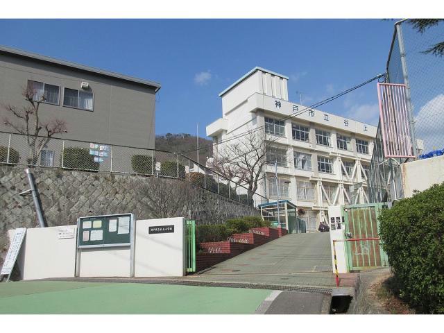 Valle Altaのその他写真