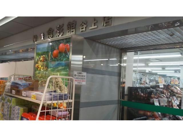 Valle Altaの周辺写真