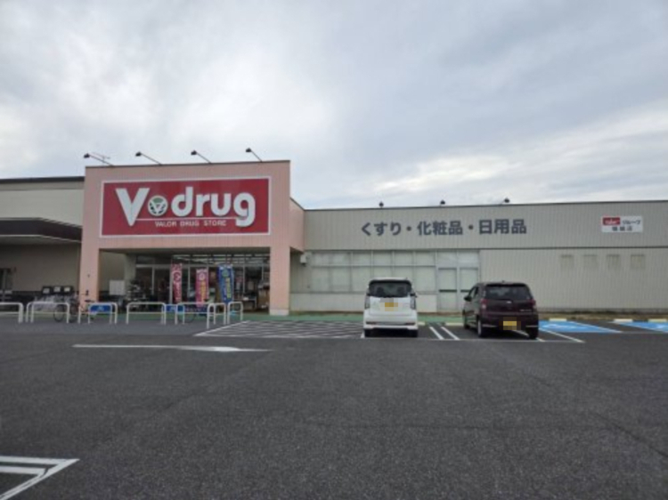 ドラックストア　V・drug堀越店（ドラッグストア）まで1647m