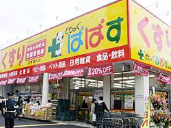 ドラックストア　どらっぐぱぱす赤塚新町店（ドラッグストア）まで339m