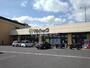 スーパー　マルショク大学通り店（スーパー）まで155m