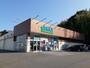 ドラックストア　ゲンキー常滑東店（ドラッグストア）まで500m