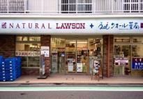 コンビニ　ナチュラルローソン九品仏小前店（コンビニ）まで96m