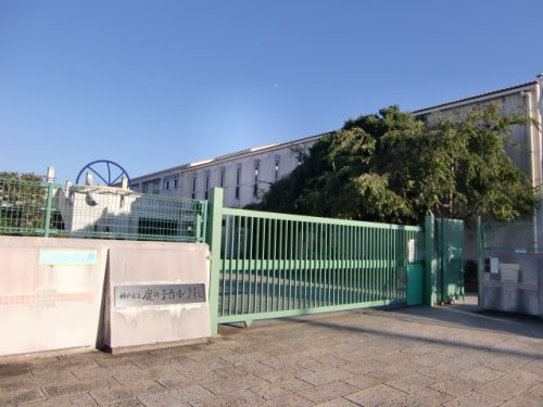 小学校　神戸市立鹿の子台小学校（小学校）まで781m