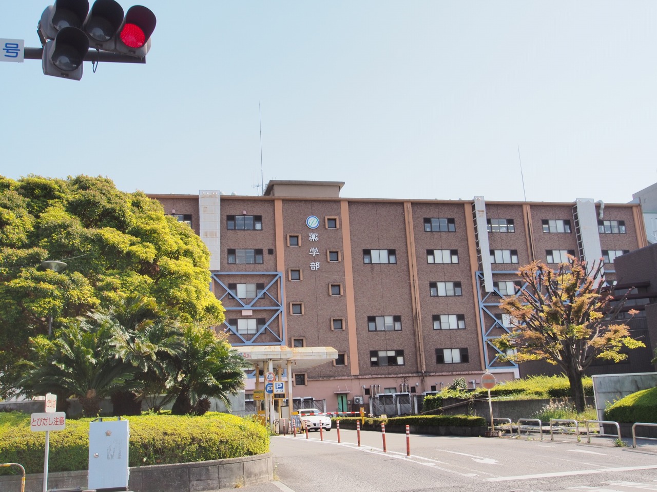 大学・短大　国立徳島大学薬学部（大学・短大）まで1456m