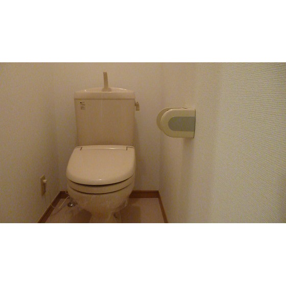 トイレ　トイレも気になるポイント