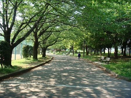 公園　亀戸中央公園（公園）まで200m