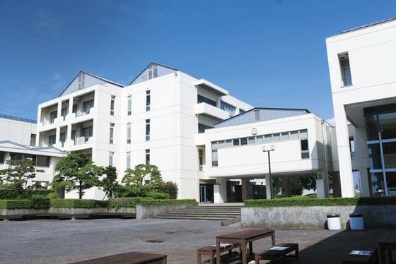 大学・短大　私立日本大学薬学部（大学・短大）まで997m