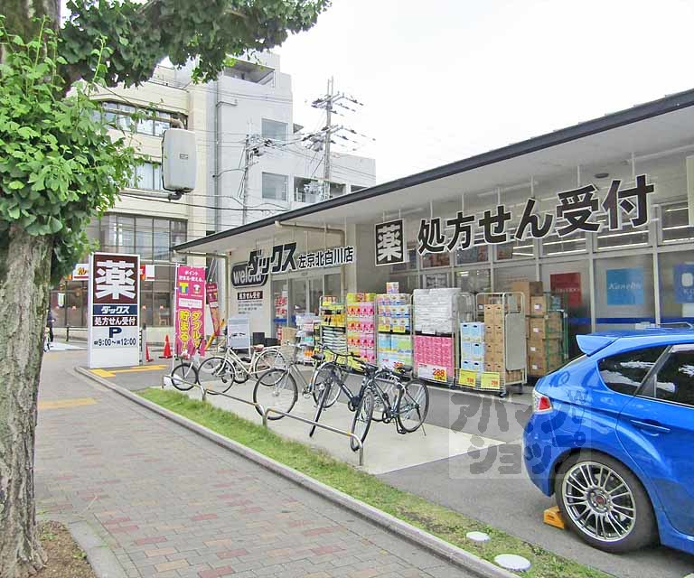 ドラックストア　ダックス左京北白川店（ドラッグストア）まで1000m