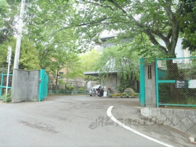 小学校　宇多野小学校（小学校）まで800m