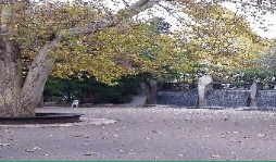 公園　蚕糸の森公園（公園）まで830m