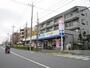 ドラックストア　ウエルシア板橋四葉店（ドラッグストア）まで641m
