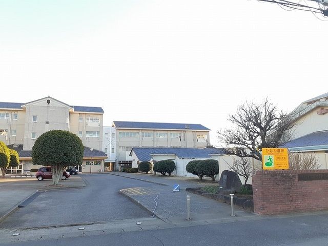 小学校　外野小学校（小学校）まで800m