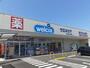 ドラックストア　ウエルシアひたちなか六ツ野店（ドラッグストア）まで1000m