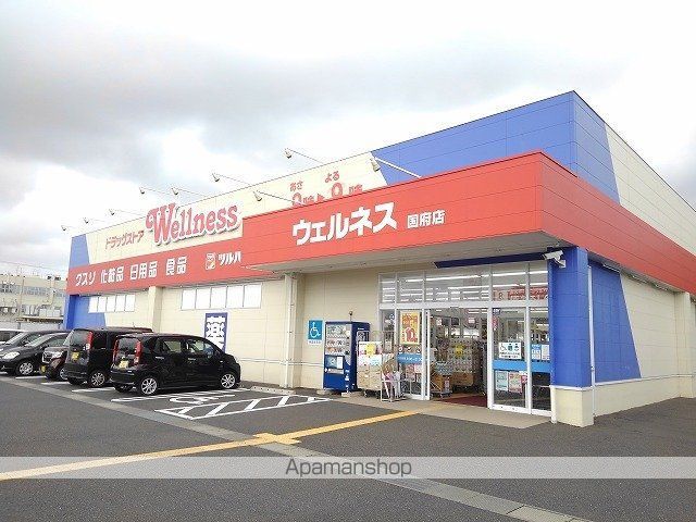 ドラックストア　ウェルネス国府店（ドラッグストア）まで1100m